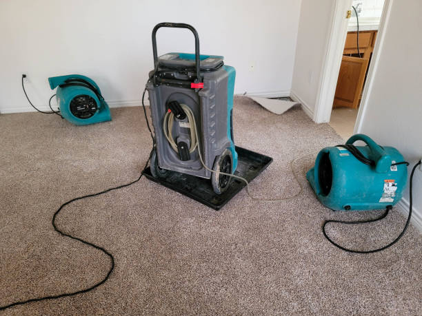 Best Water damage restoration near me  in La Vernia, TX