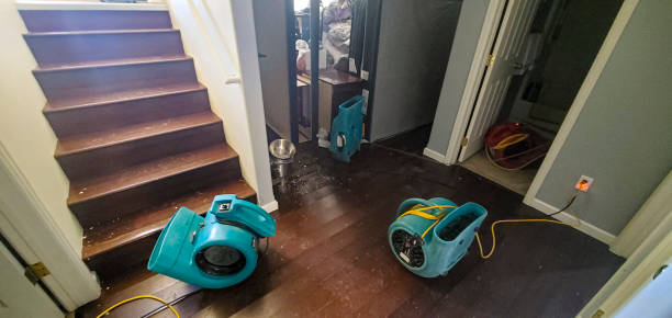Best 24-hour water damage restoration  in La Vernia, TX