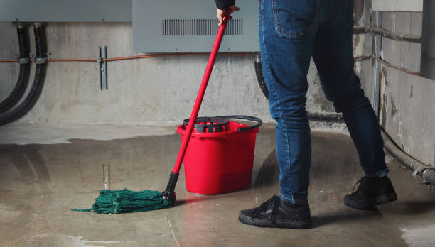 Best Water damage restoration company  in La Vernia, TX