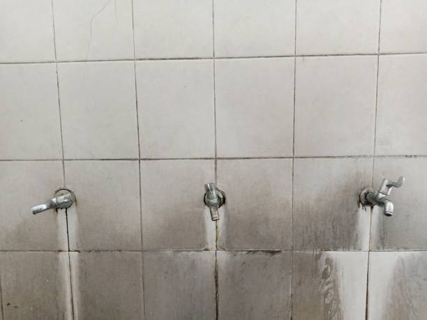 La Vernia, TX Water damage restoration Pros