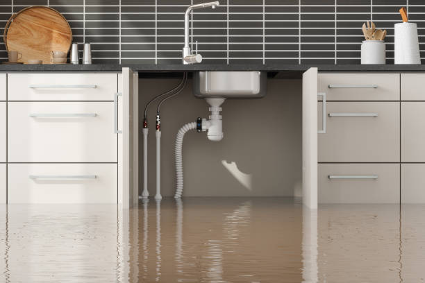 Best Ceiling water damage repair  in La Vernia, TX
