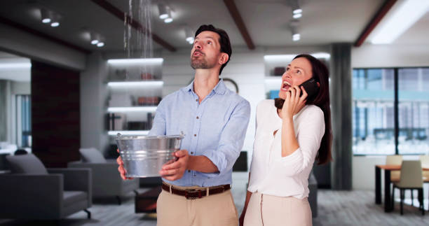 Best Water damage restoration experts  in La Vernia, TX