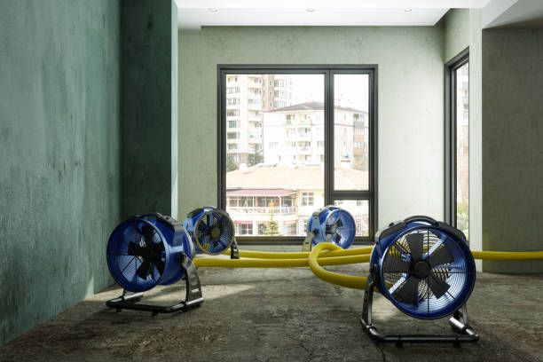 Best Commercial water damage restoration  in La Vernia, TX