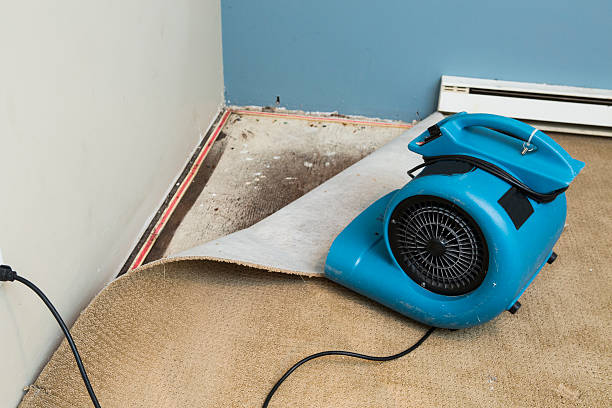 Best Carpet water damage restoration  in La Vernia, TX